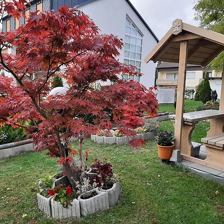 Gaestehaus Guter Stern Bad Steben Luaran gambar